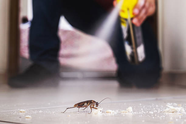 Best Exterminator Services  in Macungie, PA